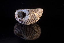 Speciální archeoprohlídky představí historii Kateřinské jeskyně