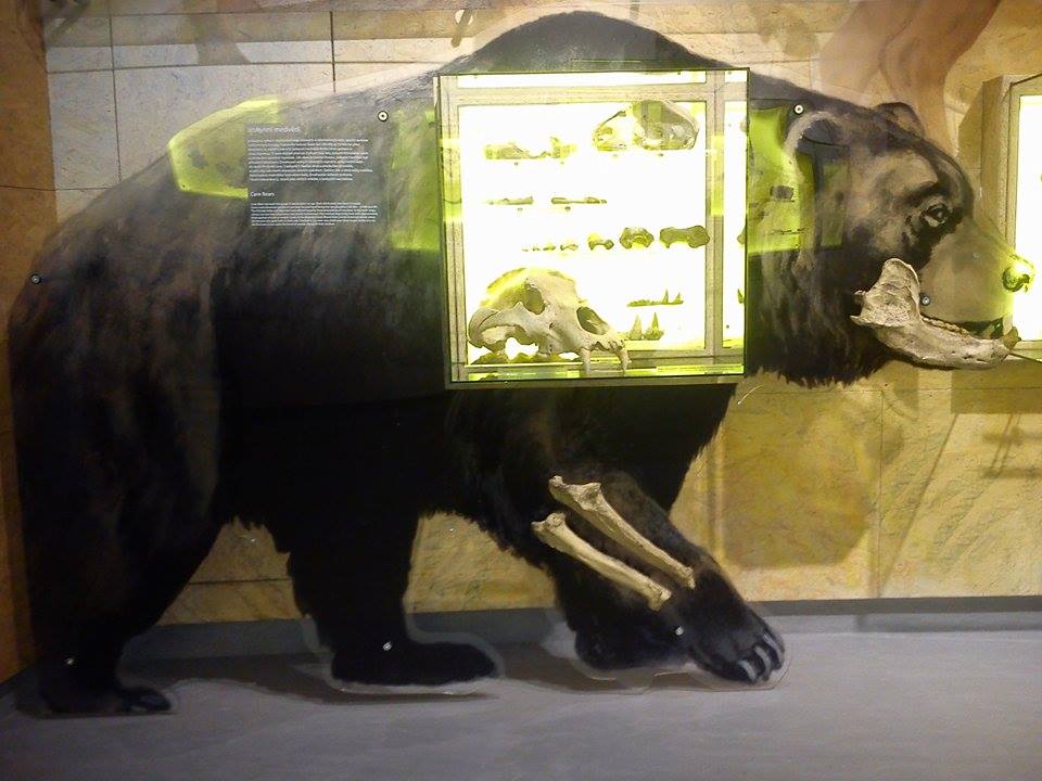 Muzeum u jeskyně Výpustek přiblíží vznik Moravského krasu